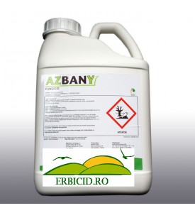 AZBANY 