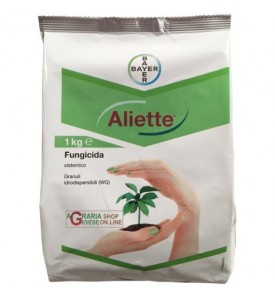 ALIETTE 80 WG 