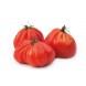 Tomate ARAWAK F1