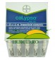 CALYPSO 480 SC-insecticid