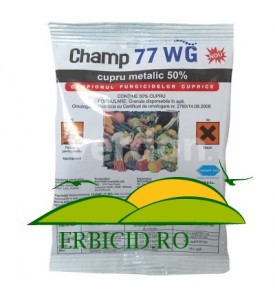 CHAMP 77 WG 