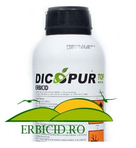 DICOPUR TOP