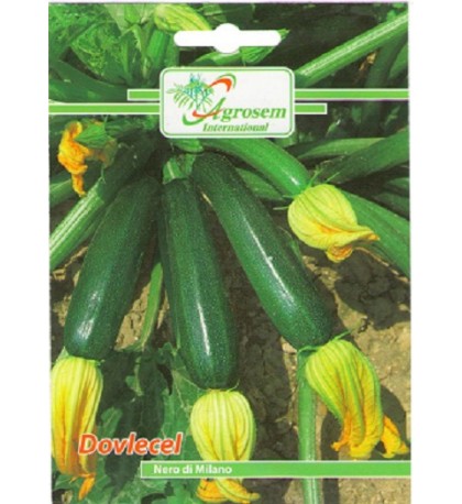 Dovlecel Nero Di Milano