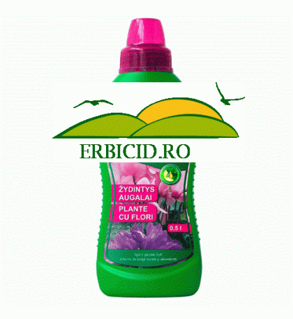 Ingrasamant plante cu flori