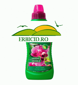 Ingrasamant pentru orhidee