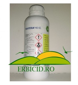 PANTERA 40 EC  (erbicid sistemic)