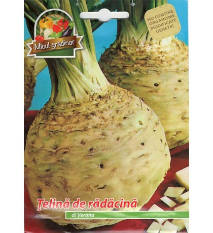 Telina Radacina Di Verona